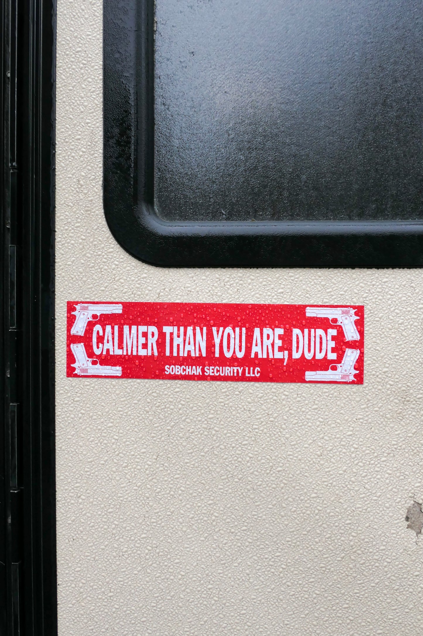Calmer Than You Are, Dude